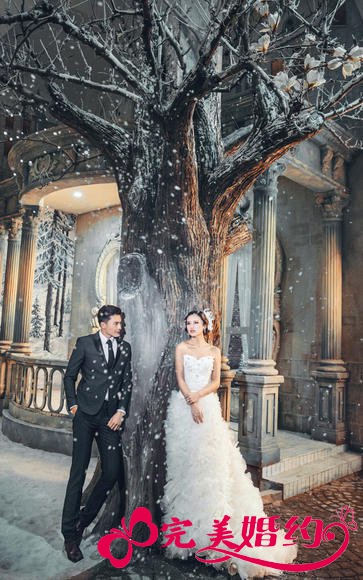 欧式雪景婚纱照