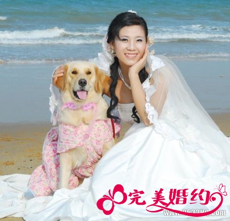 拍婚纱照可以带狗狗吗？有哪些注意事项