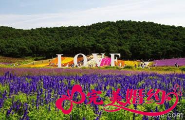 2012浪漫求婚创意