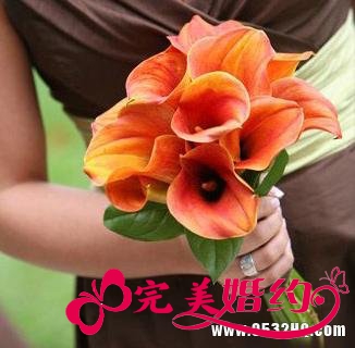 色彩十足的浪漫巧克力色系婚礼主题