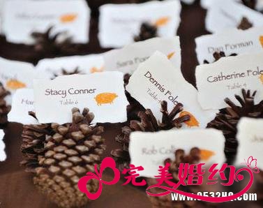 色彩十足的浪漫巧克力色系婚礼主题