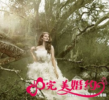 唯美梦幻童话婚纱 圆你的公主梦
