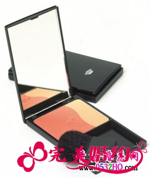 Sisley植物双色修容饼