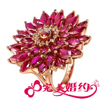 缤纷彩宝婚礼寻找你的爱情颜色