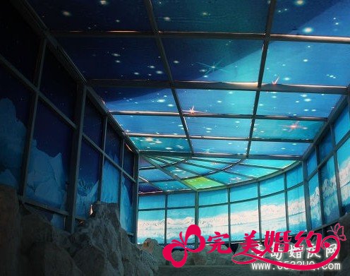 广州一日游之华南植物园