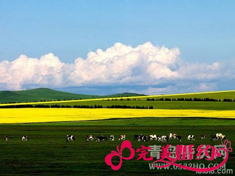 呼伦贝尔草原旅游之根河湿地