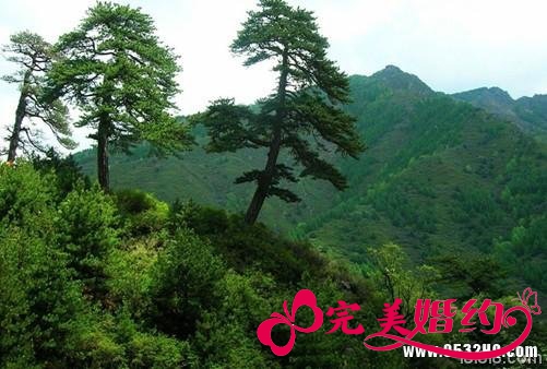 五台山旅游线路之五大主峰