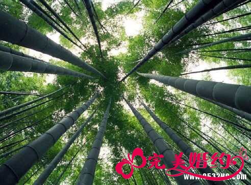 遵义旅游之赤水竹海国家森林公园