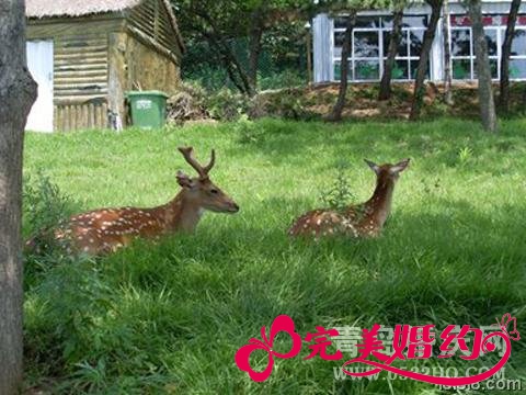 威海刘公岛自助游之森林公园