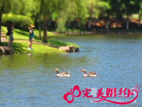 厦门旅游景点推荐：中山公园