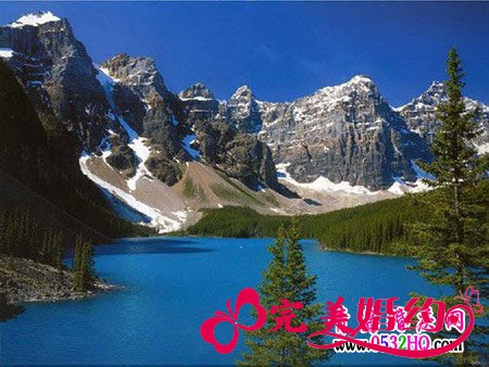 逃离酷暑 蜜月去南半球猫冬