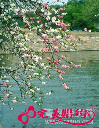 来场华贵的蜜月之旅&mdash;&mdash;杭州西湖