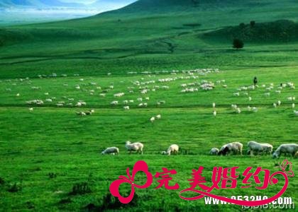 内蒙古草原旅游二