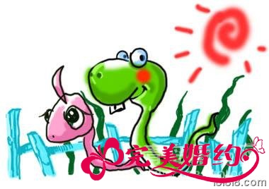 属蛇的属相婚配表